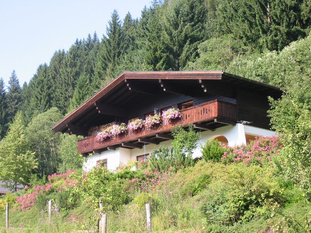 Ferienwohnung Hans Ebner Eben Im Pongau Phòng bức ảnh
